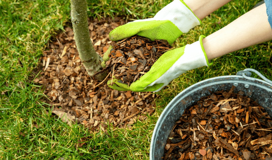 Lost Eden Landscaping
